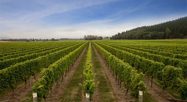 b15b3808-72b4-4233-a318-47ea10bff1fc b15b3808-72b4-4233-a318-47ea10bff1fc