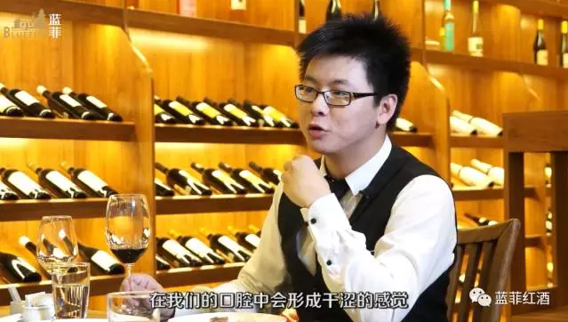 6個步驟,資深品酒師教你如何來品葡萄酒