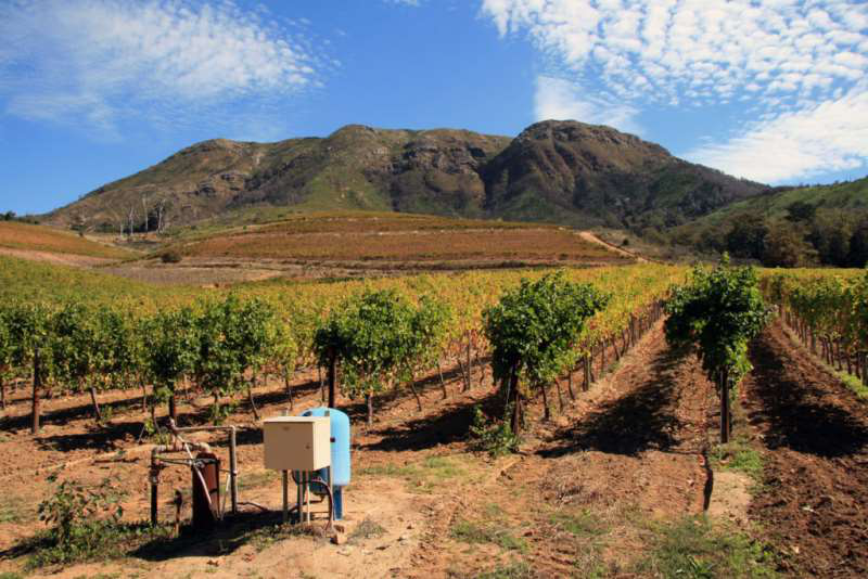 開普敦水荒，南非葡萄酒何去何從